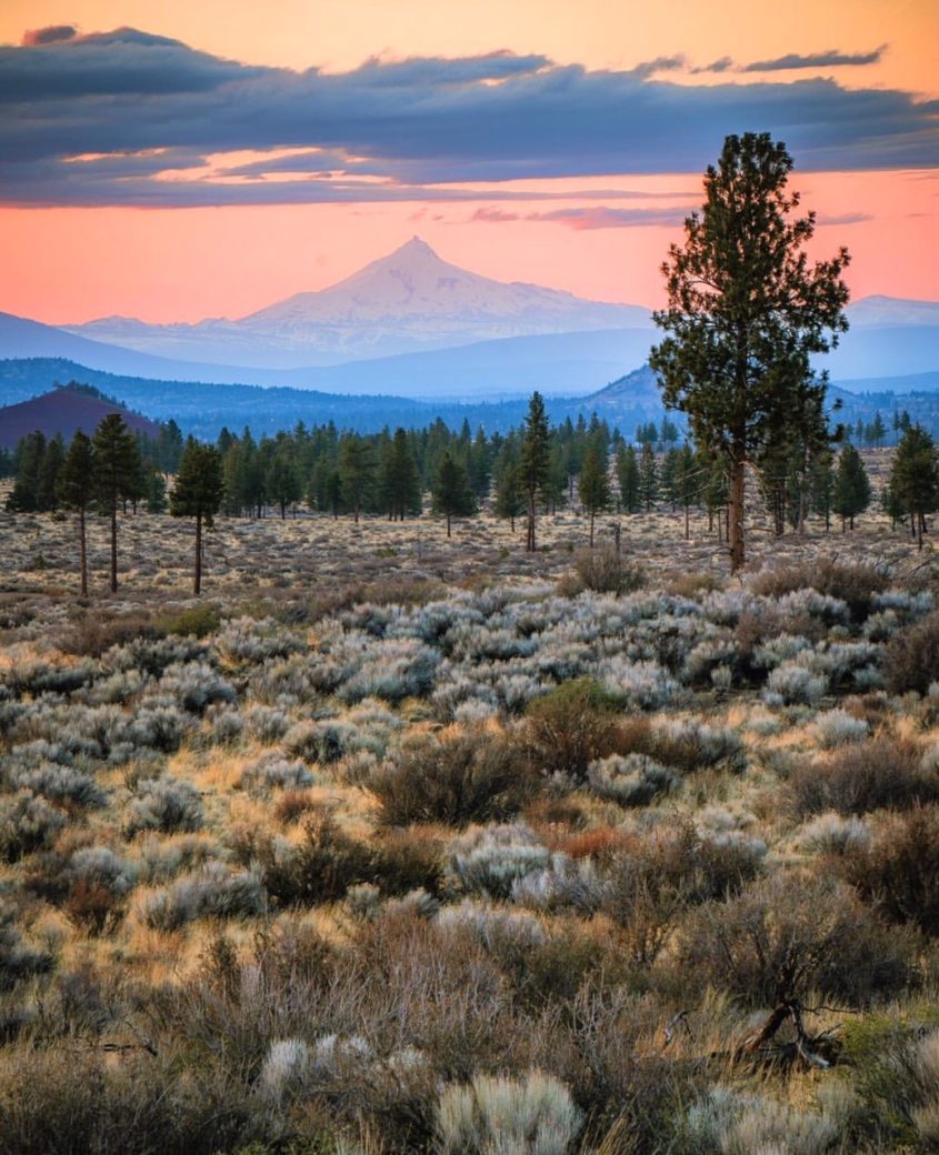 High Desert Sunset - Bend Oregon