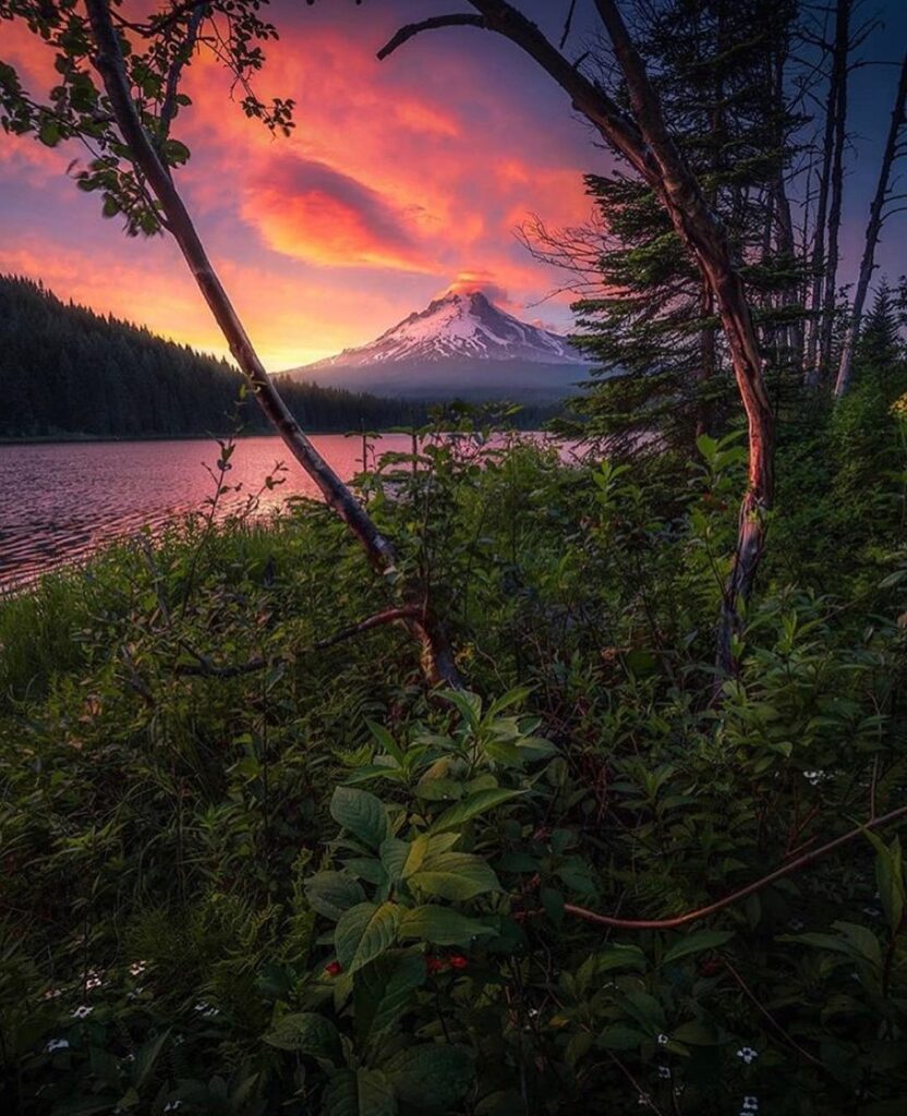 Beautiful Oregon — photo by @davidgayphotography