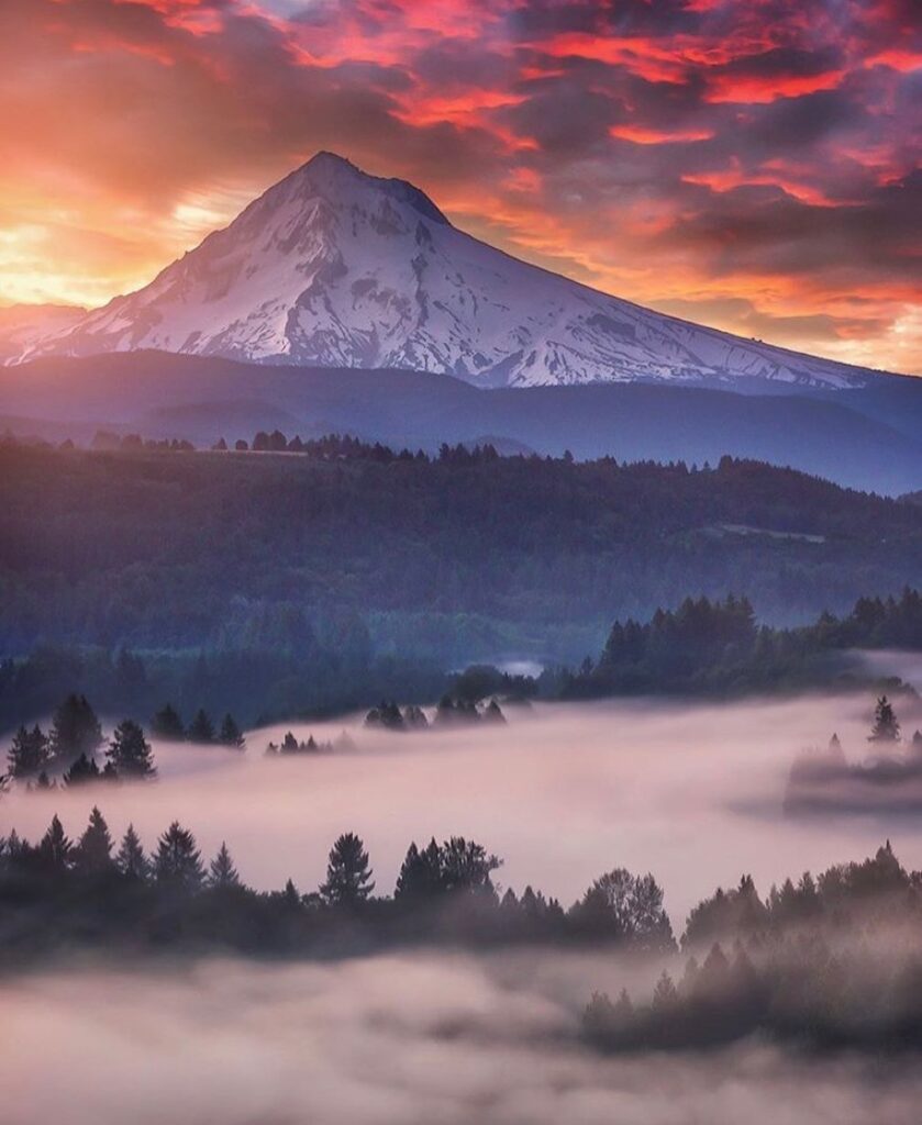 Beautiful Oregon - photo by @didoyamulka