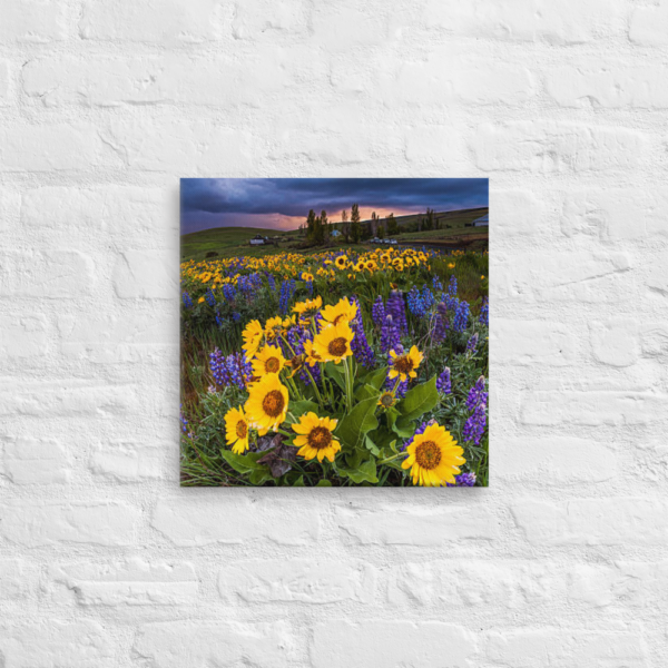 SPRING FLOWERS - 16X16 Canvas Wrap Print