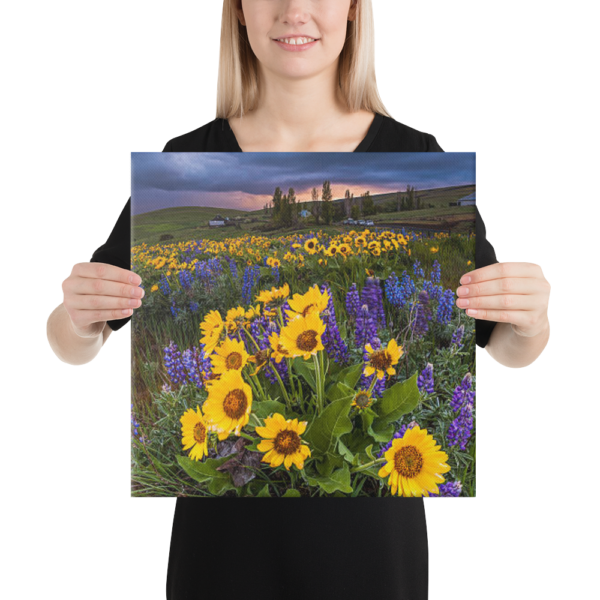 SPRING FLOWERS - 16X16 Canvas Wrap Print