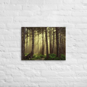 INTO THE WOODS - 18X24 Canvas Wrap Print