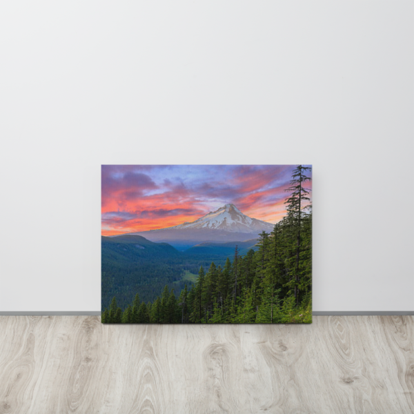 MT HOOD NATIONAL FOREST - 18X24 Canvas Wrap Print