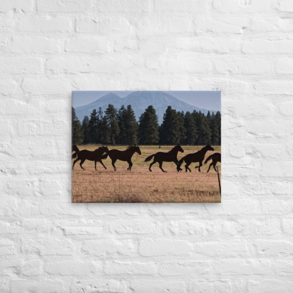 BLACK HORSES - 18X24 Canvas Wrap Print