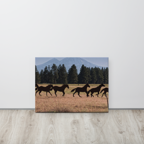 BLACK HORSES - 18X24 Canvas Wrap Print