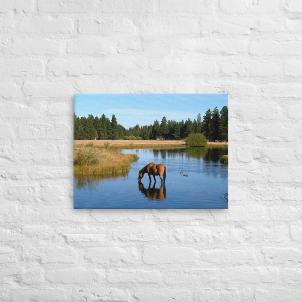 HORSE IN THE LAKE - 18X24 Canvas Wrap Print