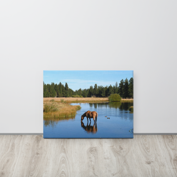 HORSE IN THE LAKE - 18X24 Canvas Wrap Print