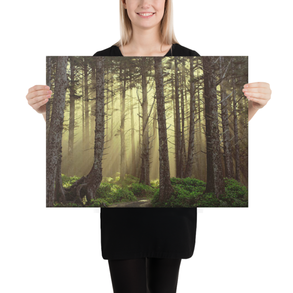 IN TO THE WOODS - 18X24 Canvas Wrap Print