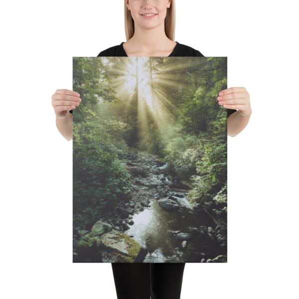 SUNLIGHT IN THE WOODS - 18X24 Canvas Wrap Print