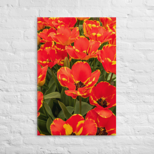 WILD FLOWERS OF OREGON - 24X36 Canvas Wrap Print