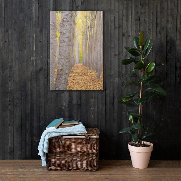 BOARDMAN TREE FARM - 24X36 Canvas Wrap Print