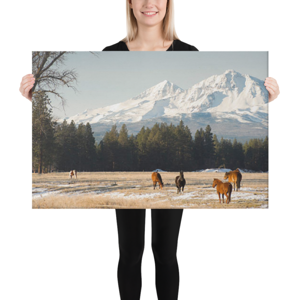SISTERS - GRAZING HORSES - 24X36 Canvas Wrap Print