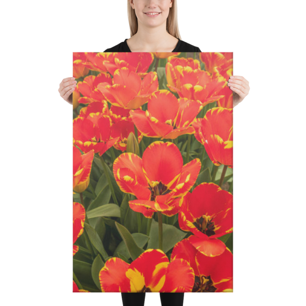 WILD FLOWERS OF OREGON - 24X36 Canvas Wrap Print
