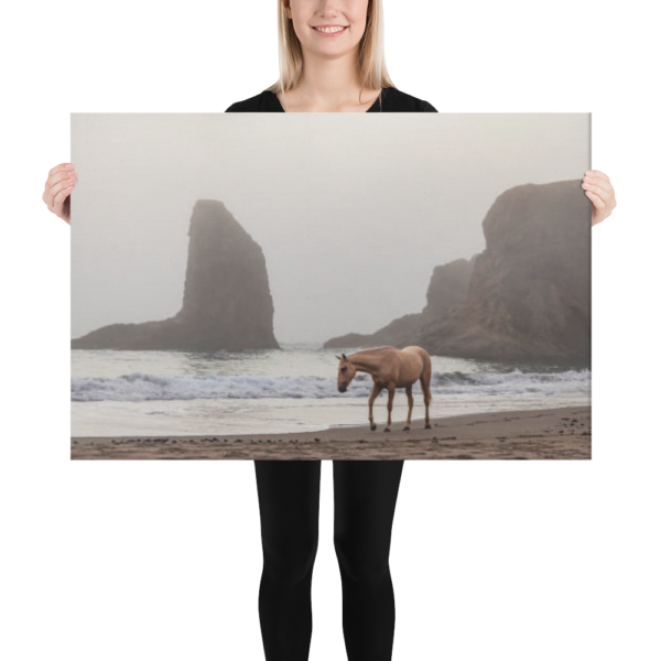 HORSE ON THE BEACH - 24X36 Canvas Wrap Print